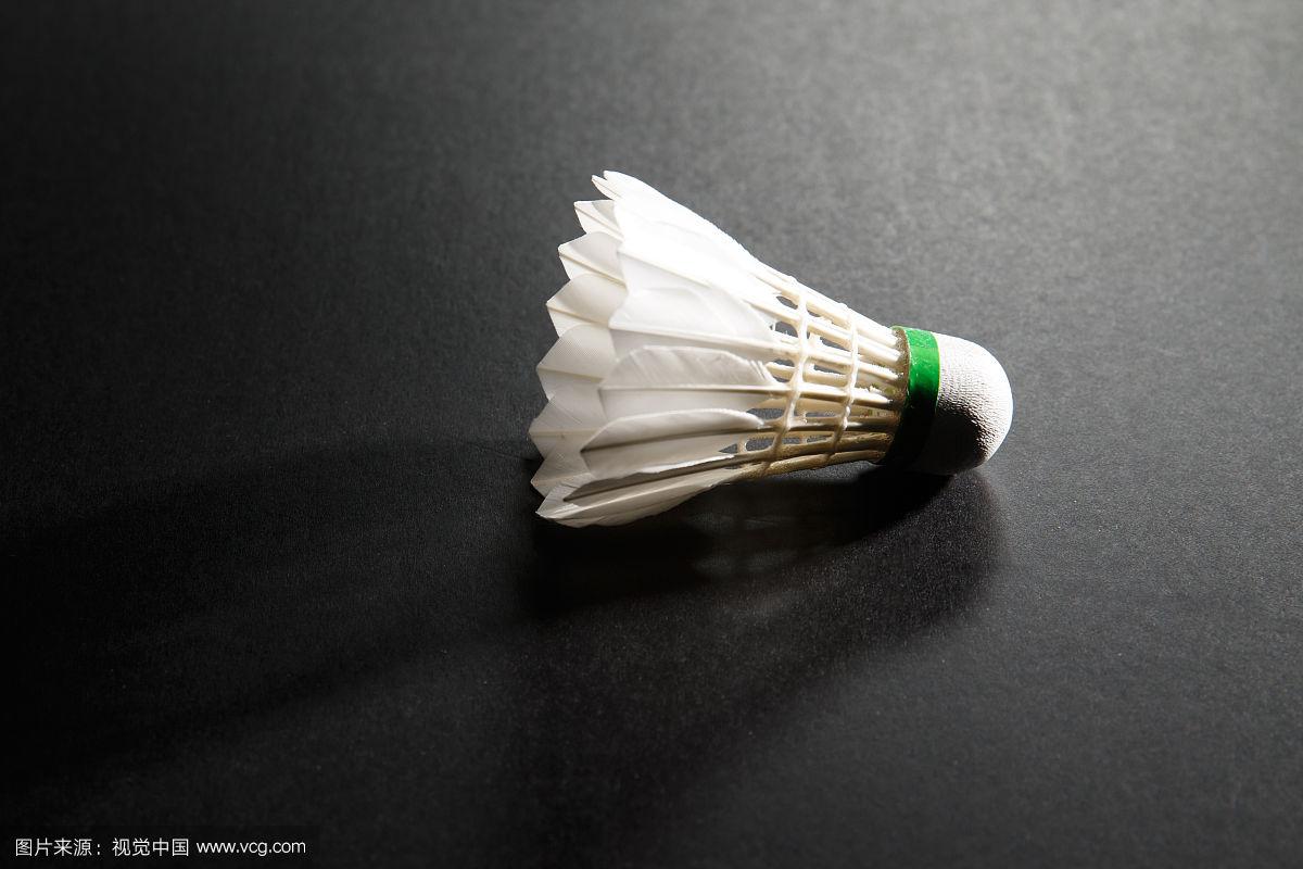 经验丰富的 经验丰富的